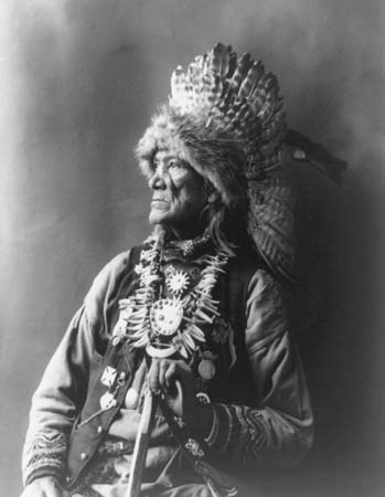 Cayuga Tribe Facts, History, and Culture - The History Junkie