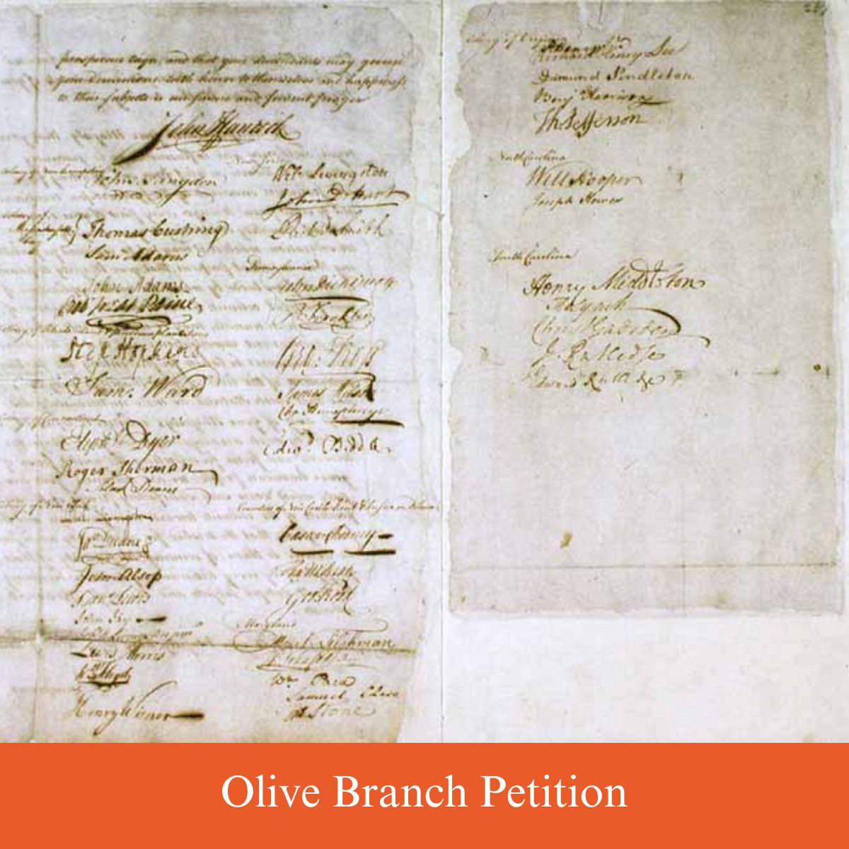 olive branch petition draft