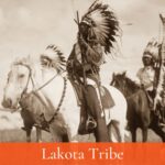 lakota tribe facts
