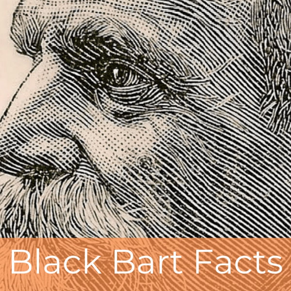 ECON Gold And Silver News Page 10 Timebomb 2000