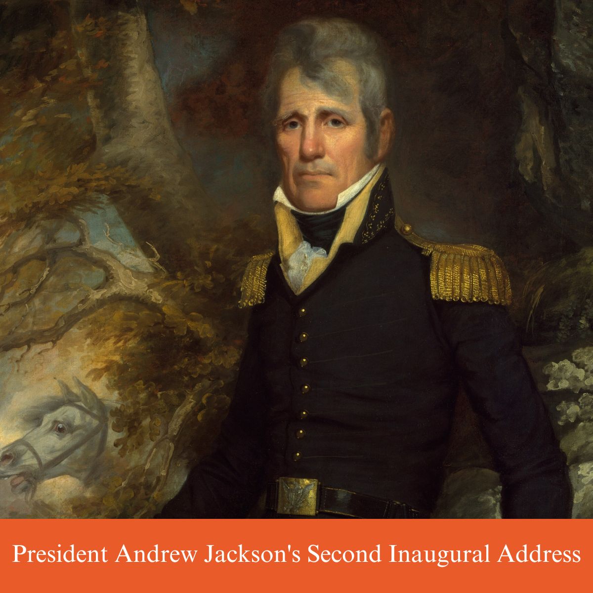andrew jackson second inaugural