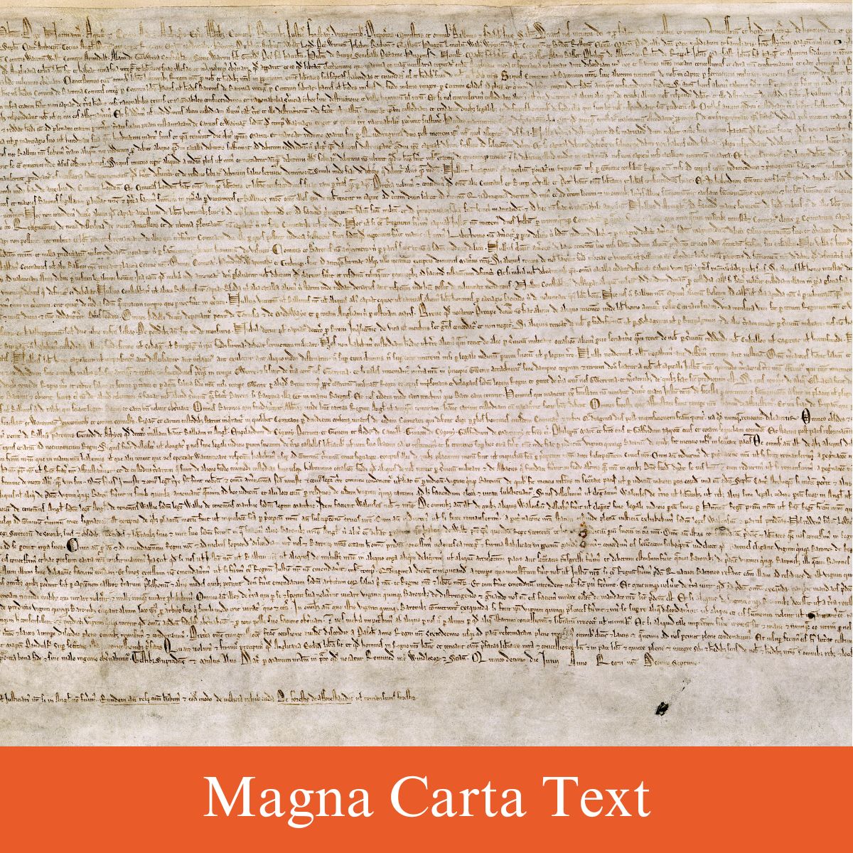magna carta texts