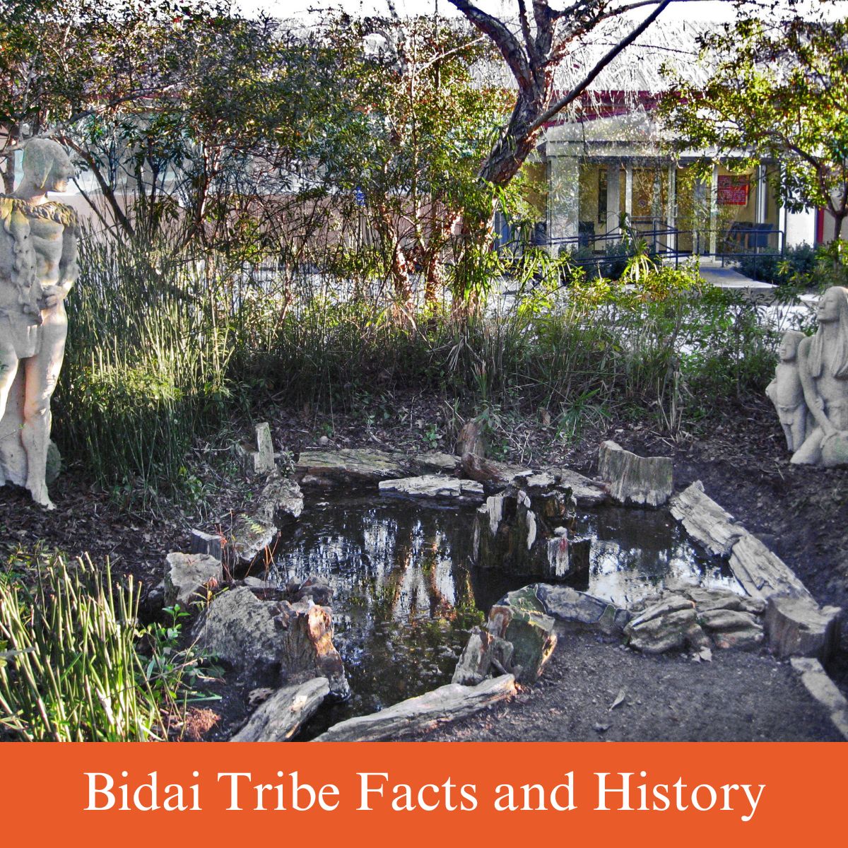 bidai tribe facts history