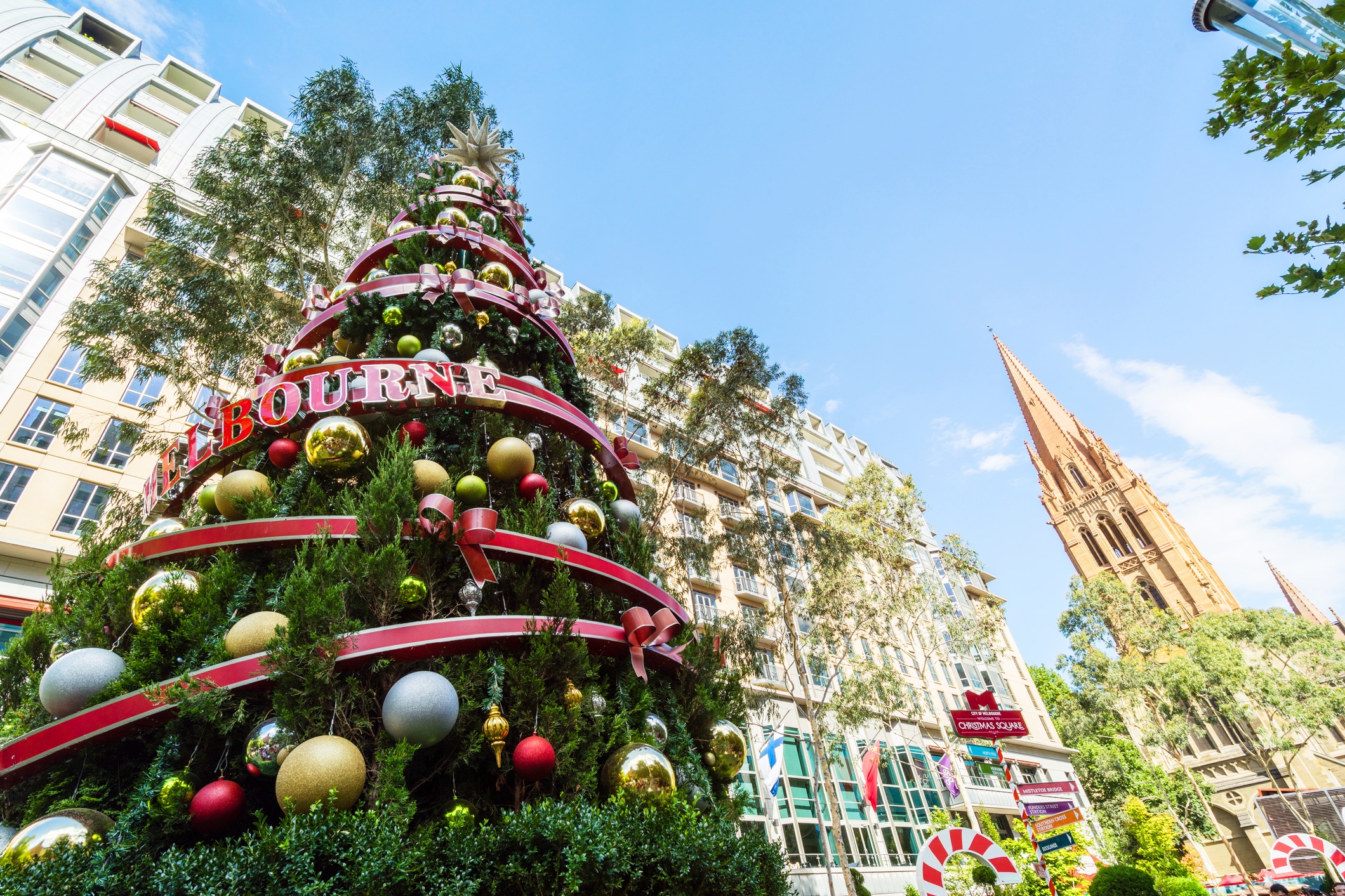 Christmas Tree in Australia