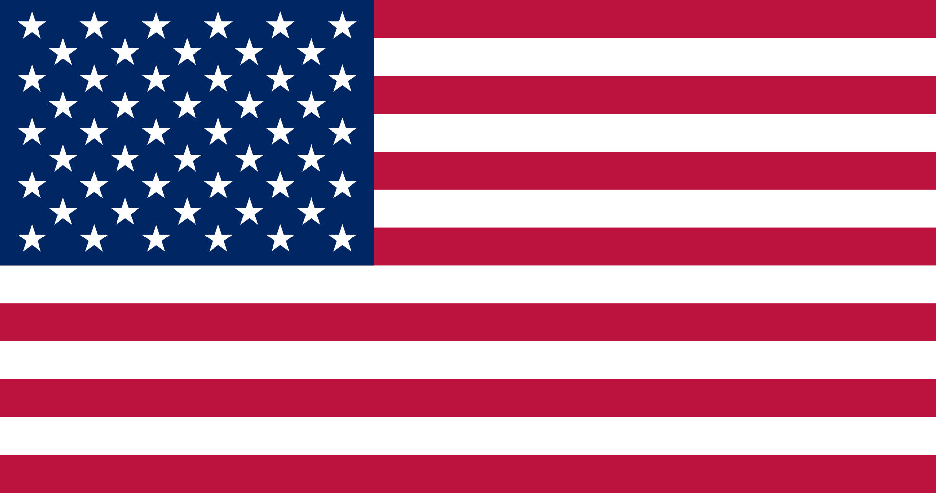50 state flag