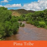 pima tribe