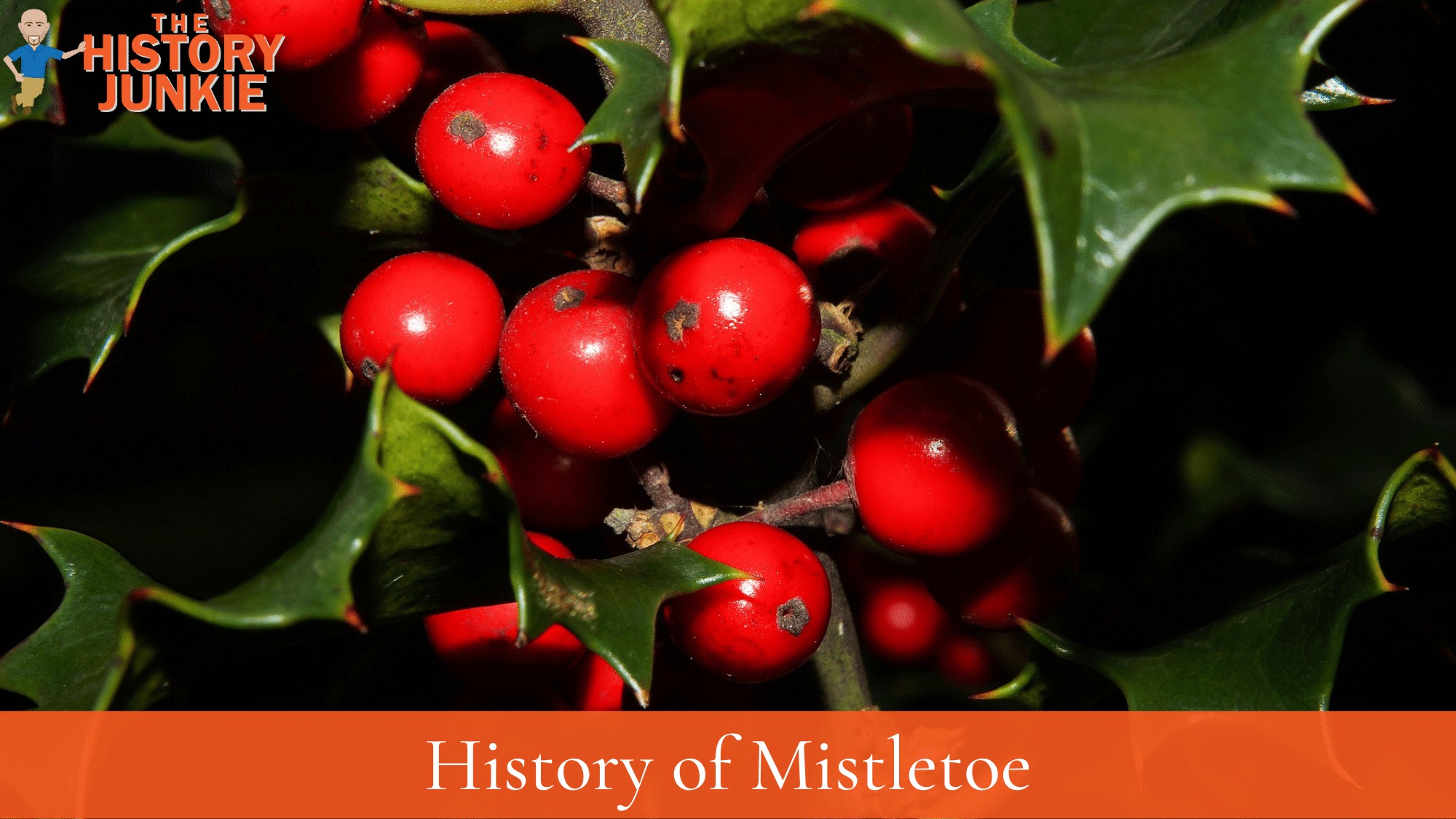 Mistletoe History