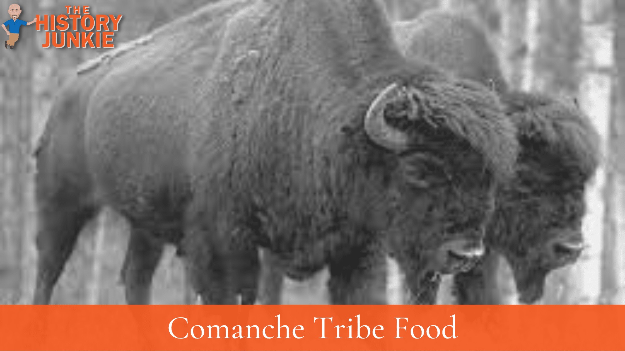 Comanche Tribe Food