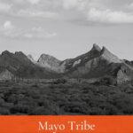mayo tribe