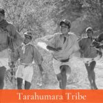 tarahumara tribe