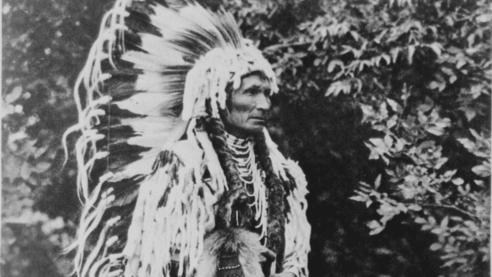 Cayuse Tribe Chief