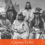 cayuse tribe