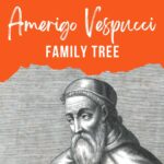 Vespucci family tree