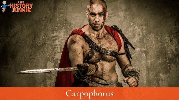 Carpophorus