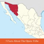 5 facts about the opata tribe